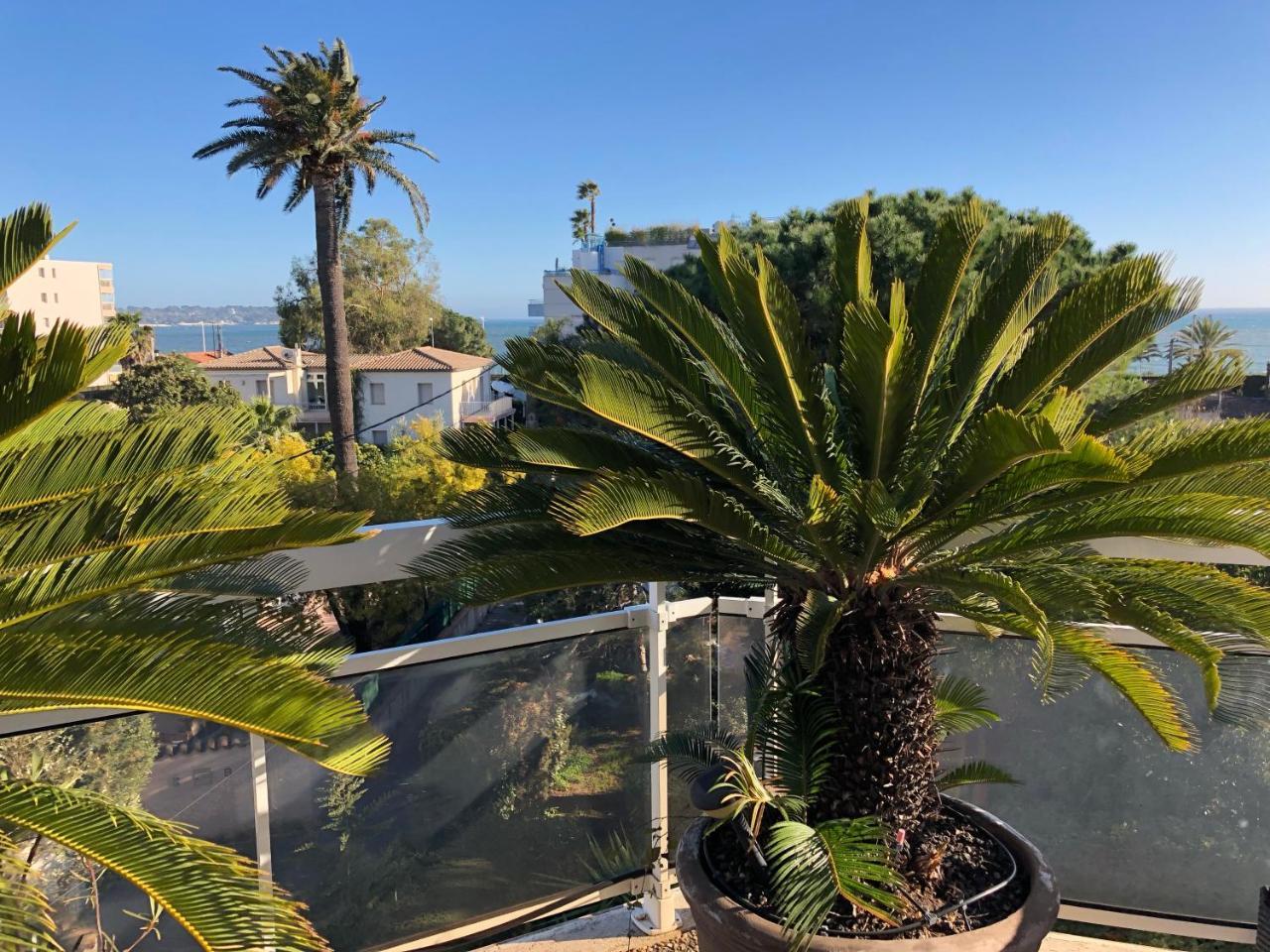 Gorgeous One-Bedroom Apartment With Terrace And Sea View -Stayinantibes- Bijou Plage Eksteriør billede